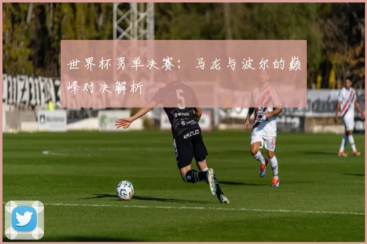 世界杯男单决赛：马龙与波尔的巅峰对决解析
