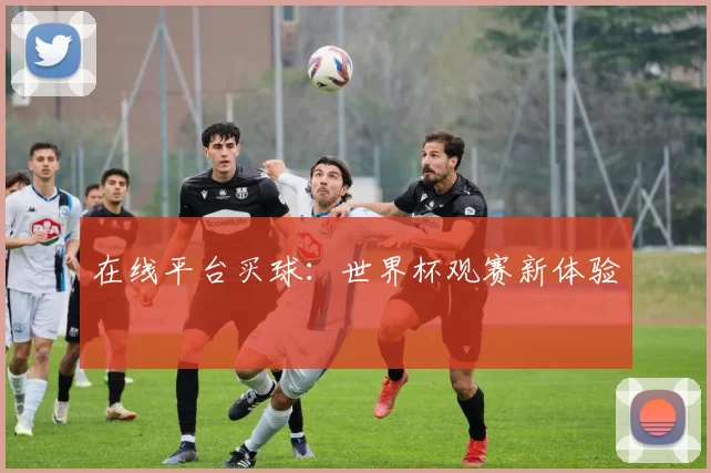 在线平台买球:世界杯观赛新体验
