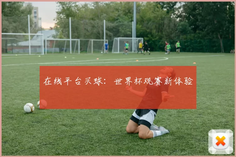 在线平台买球:世界杯观赛新体验