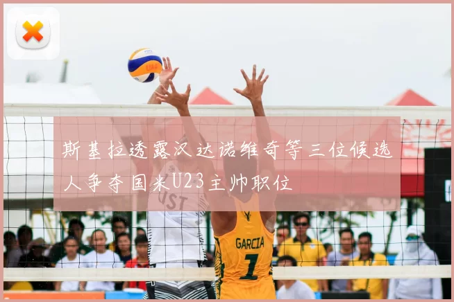斯基拉透露汉达诺维奇等三位候选人争夺国米U23主帅职位
