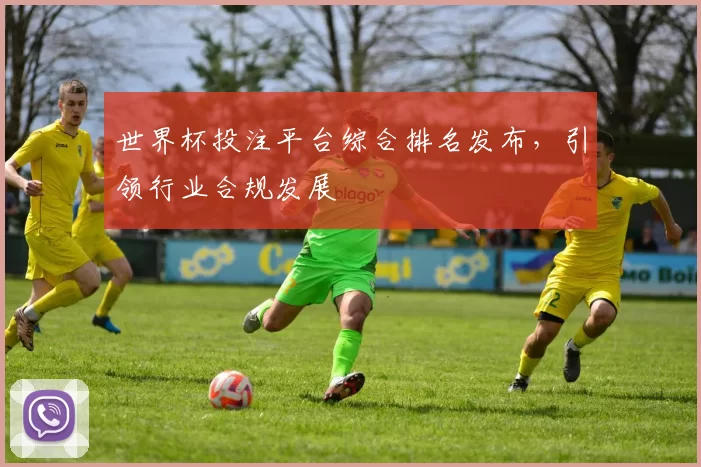世界杯投注平台综合排名发布,引领行业合规发展