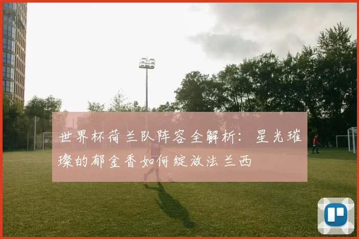 世界杯荷兰队阵容全解析:星光璀璨的郁金香如何绽放法兰西