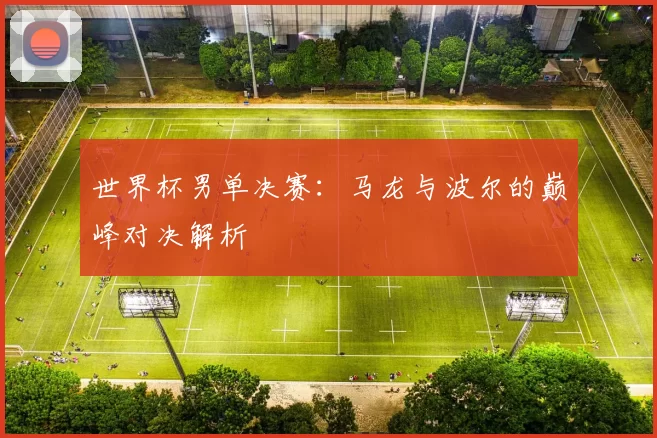 世界杯男单决赛:马龙与波尔的巅峰对决解析