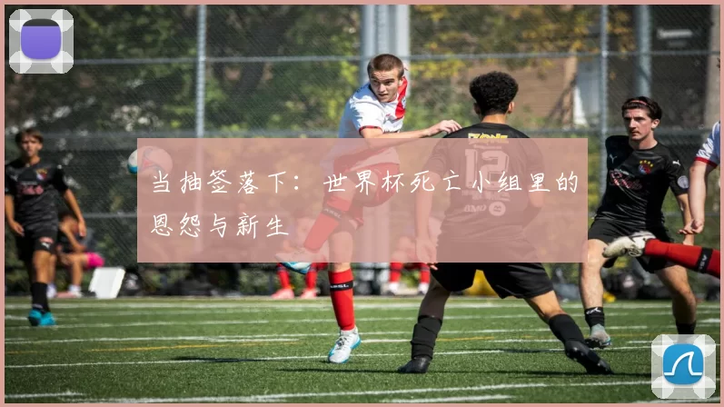 当抽签落下:世界杯死亡小组里的恩怨与新生