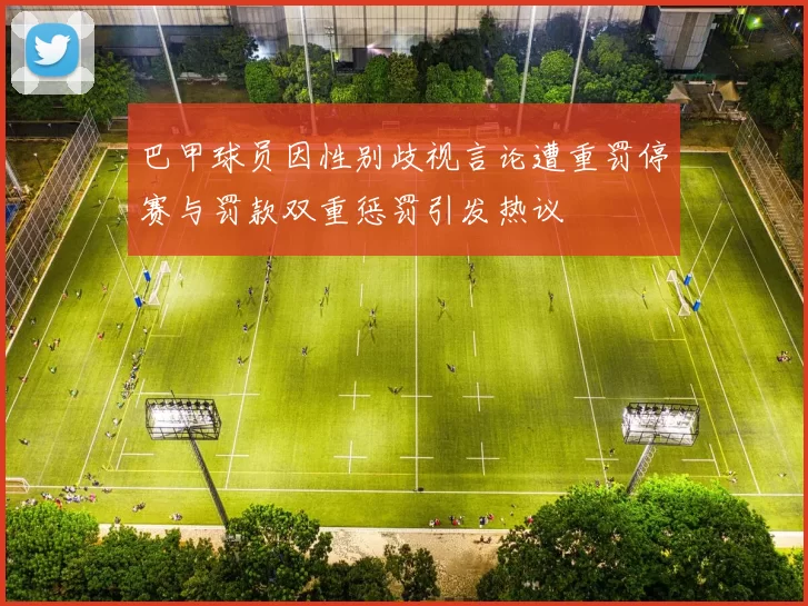 巴甲球员因性别歧视言论遭重罚停赛与罚款双重惩罚引发热议