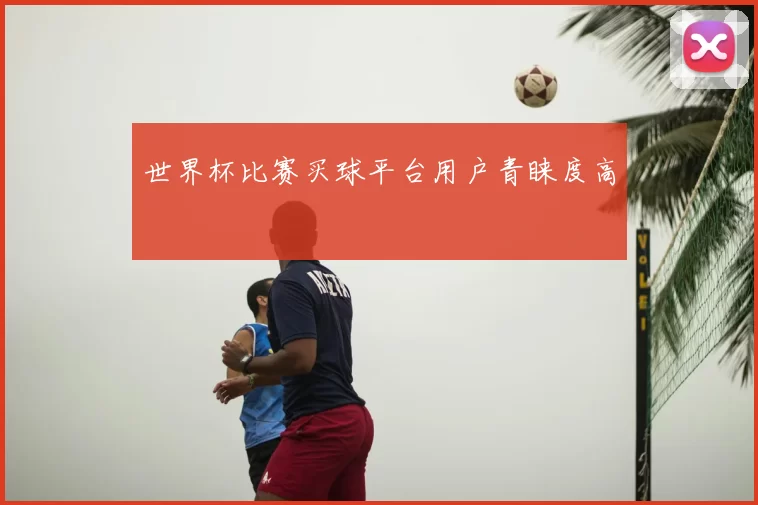 世界杯比赛买球平台用户青睐度高