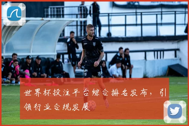 世界杯投注平台综合排名发布，引领行业合规发展