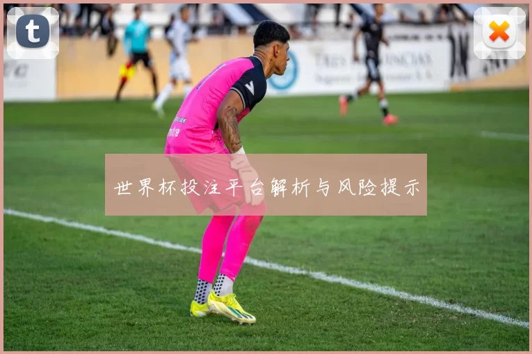 世界杯投注平台解析与风险提示
